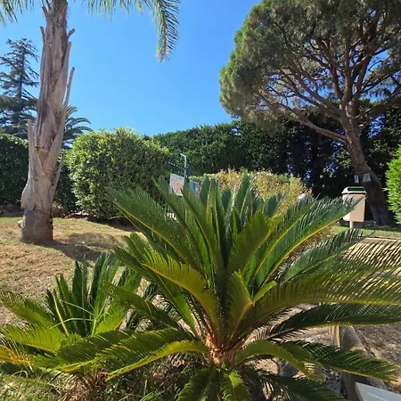 Charming 2 Bedroom With Sea View, Pool And Parking Apartman Antibes